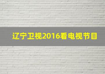 辽宁卫视2016看电视节目