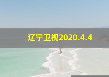 辽宁卫视2020.4.4