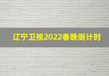 辽宁卫视2022春晚倒计时