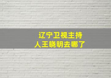 辽宁卫视主持人王晓明去哪了