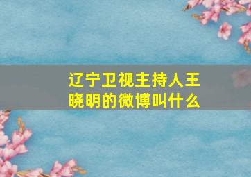 辽宁卫视主持人王晓明的微博叫什么