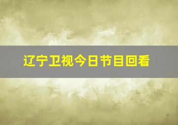 辽宁卫视今日节目回看