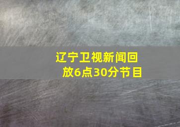 辽宁卫视新闻回放6点30分节目