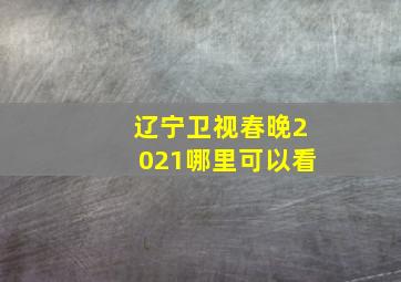 辽宁卫视春晚2021哪里可以看