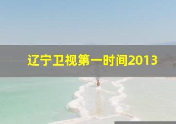 辽宁卫视第一时间2013