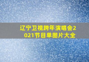 辽宁卫视跨年演唱会2021节目单图片大全