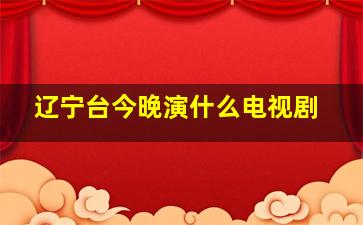 辽宁台今晚演什么电视剧