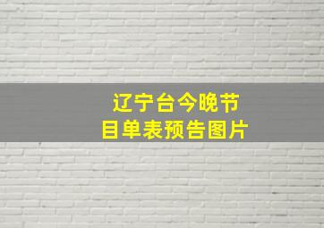 辽宁台今晚节目单表预告图片