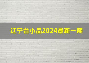 辽宁台小品2024最新一期