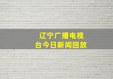 辽宁广播电视台今日新闻回放