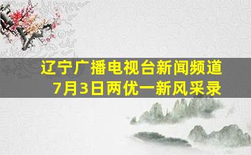 辽宁广播电视台新闻频道7月3日两优一新风采录