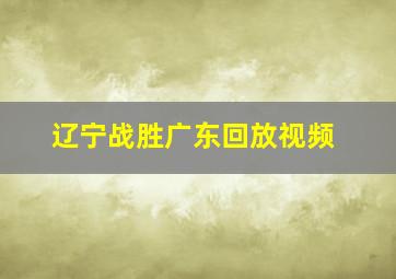 辽宁战胜广东回放视频