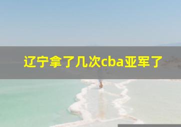 辽宁拿了几次cba亚军了