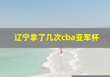 辽宁拿了几次cba亚军杯