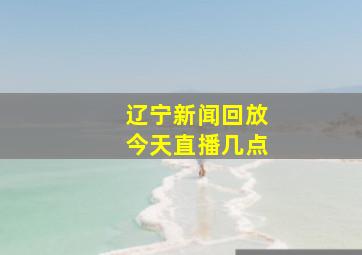 辽宁新闻回放今天直播几点