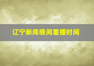 辽宁新闻晚间重播时间