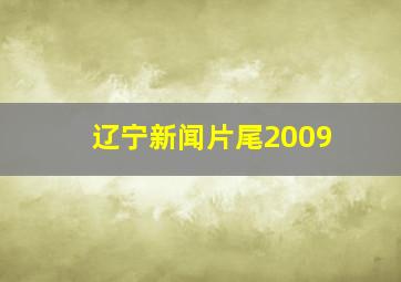 辽宁新闻片尾2009