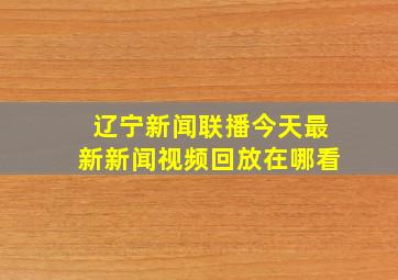 辽宁新闻联播今天最新新闻视频回放在哪看