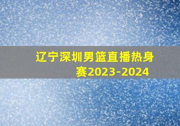 辽宁深圳男篮直播热身赛2023-2024