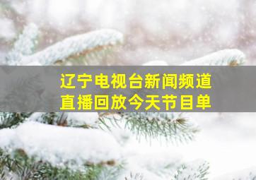 辽宁电视台新闻频道直播回放今天节目单