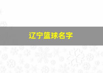 辽宁篮球名字