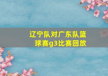 辽宁队对广东队篮球赛g3比赛回放