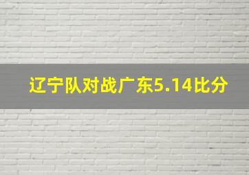 辽宁队对战广东5.14比分