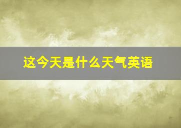 这今天是什么天气英语