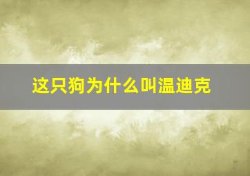 这只狗为什么叫温迪克