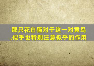 那只花白猫对于这一对黄鸟,似乎也特别注意似乎的作用