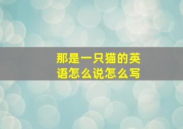 那是一只猫的英语怎么说怎么写