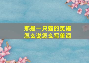 那是一只猫的英语怎么说怎么写单词