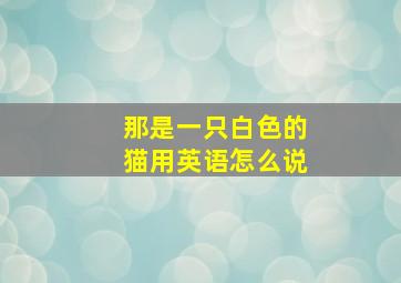 那是一只白色的猫用英语怎么说