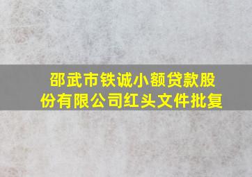 邵武市铁诚小额贷款股份有限公司红头文件批复