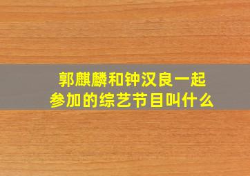 郭麒麟和钟汉良一起参加的综艺节目叫什么