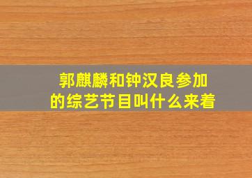 郭麒麟和钟汉良参加的综艺节目叫什么来着