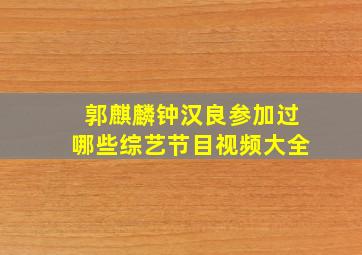 郭麒麟钟汉良参加过哪些综艺节目视频大全