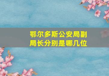 鄂尔多斯公安局副局长分别是哪几位