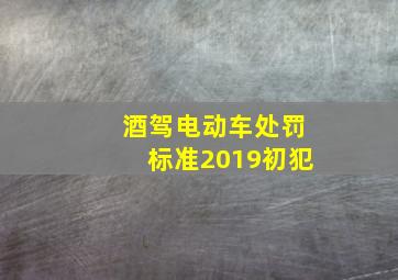 酒驾电动车处罚标准2019初犯