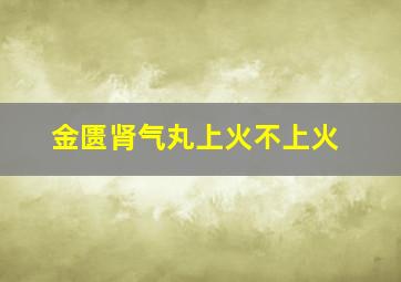 金匮肾气丸上火不上火