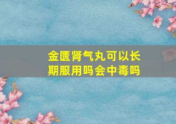 金匮肾气丸可以长期服用吗会中毒吗