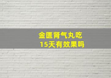 金匮肾气丸吃15天有效果吗