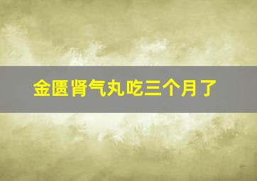 金匮肾气丸吃三个月了