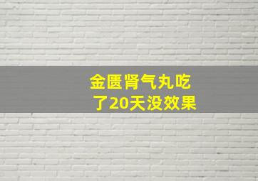 金匮肾气丸吃了20天没效果