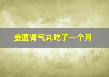 金匮肾气丸吃了一个月