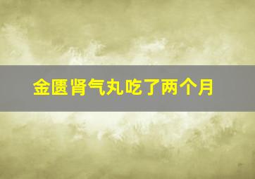 金匮肾气丸吃了两个月