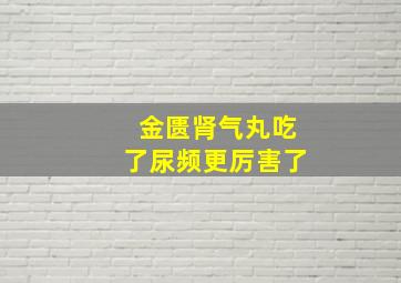 金匮肾气丸吃了尿频更厉害了