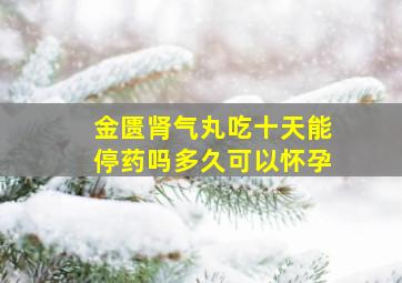 金匮肾气丸吃十天能停药吗多久可以怀孕