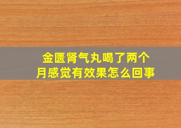 金匮肾气丸喝了两个月感觉有效果怎么回事