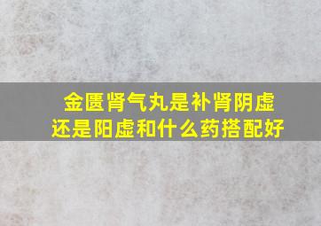 金匮肾气丸是补肾阴虚还是阳虚和什么药搭配好